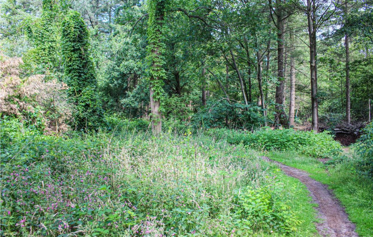 Huiske Oan T Bos Lage Mierde Exterior photo